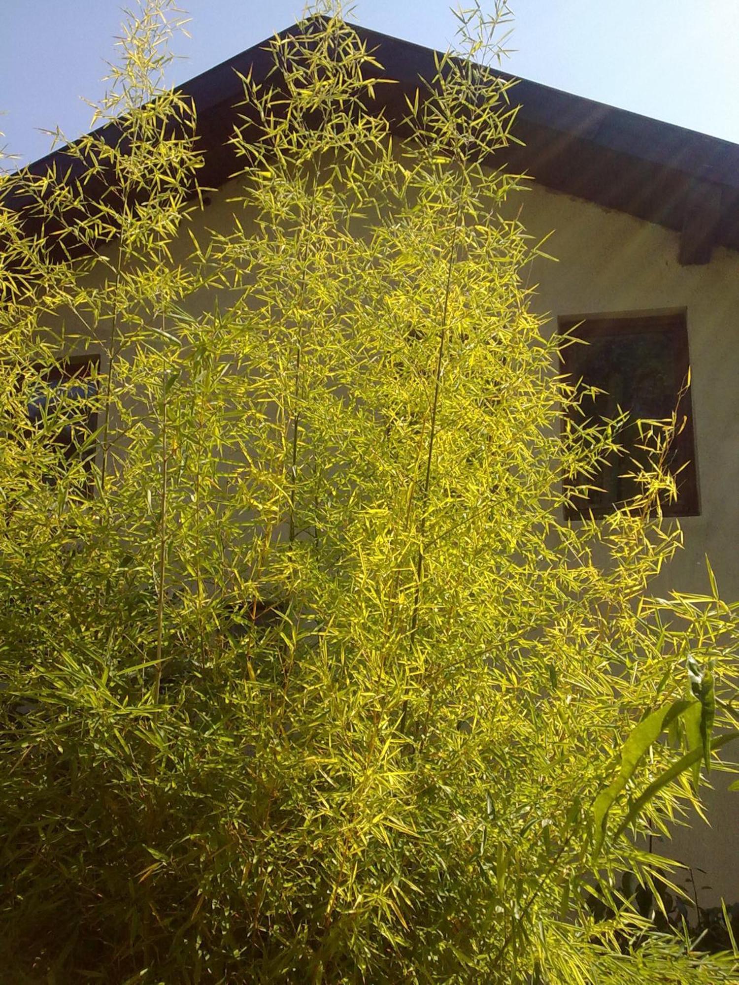 Villa Elfi Golden Sands Luaran gambar
